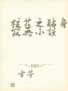 校花之贴身高手寂无小说