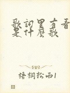 歌词里有看不见是什么歌