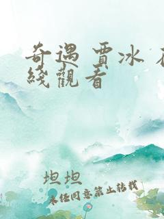 奇遇 贾冰 在线观看
