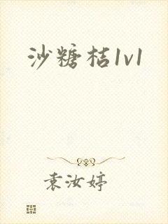 沙糖桔1v1
