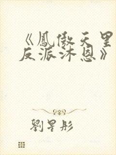 《凤傲天里黄毛反派沐恩》免费阅读