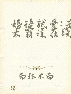婚后试爱:老公太霸道在线阅读小说