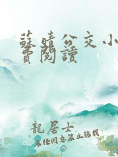 苏晴公交小说免费阅读