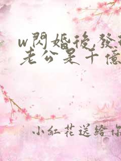 w闪婚后,发现老公是千亿首富》
