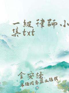 一级律师小说全集txt