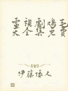 电视剧鸡毛飞上天全集免费播放一