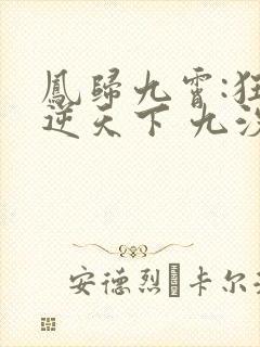 凤归九霄:狂妃逆天下 九汐公子
