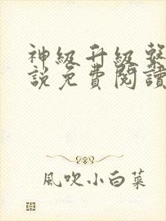神级升级系统小说免费阅读