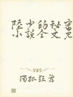 陆少的秘密恋人小说全文免费阅读