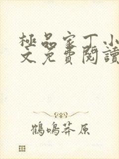 极品家丁小说全文免费阅读