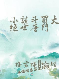 小说斗罗大陆2绝世唐门
