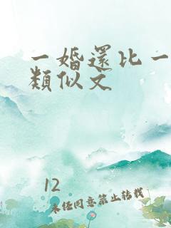 一婚还比一婚高类似文