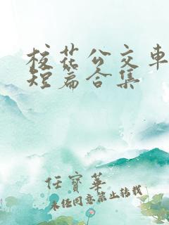 校花公交车爽文短篇合集