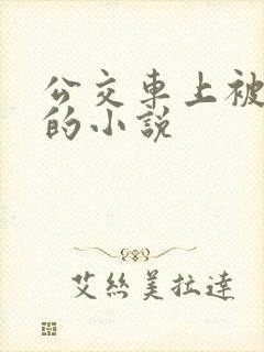 公交车上被进入的小说