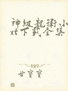 神级龙卫小说txt下载全集