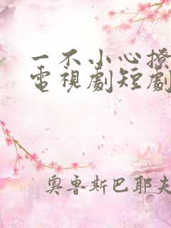 一不小心撩错人电视剧短剧