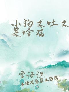 小狗又吐又拉血是啥病