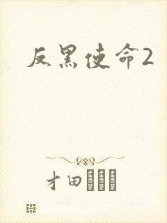 反黑使命2