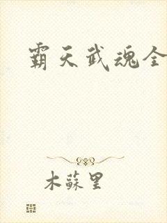 霸天武魂全文