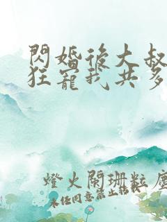 闪婚后大叔每天狂宠我共多章