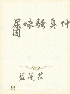 尿味骚臭什么原因