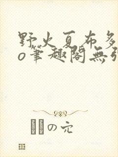 野火夏布多昂po笔趣阁无弹窗