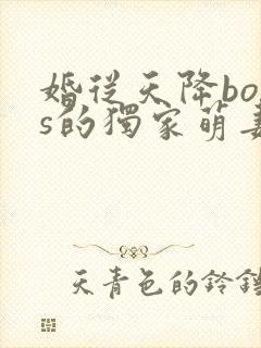 婚从天降boss的独家萌妻免费阅读