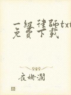 一级律师txt免费下载