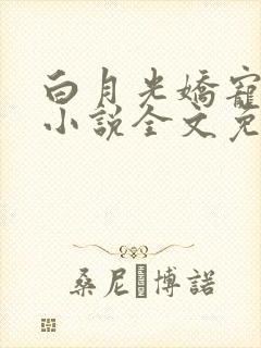 白月光娇宠日常小说全文免费阅读