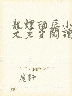 龙煜柏辰小说全文免费阅读在线