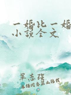 一婚比一婚还高小说全文