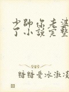 少帅你老婆又跑了小说完整版