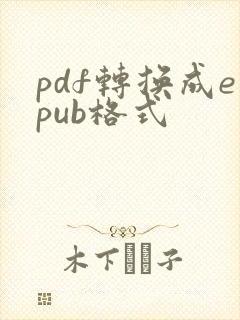 pdf转换成epub格式