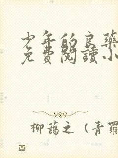 少年的良药全文免费阅读小说