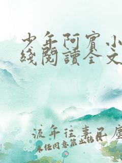 少年阿宾小说在线阅读全文