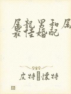 属龙男和属龙女最佳婚配