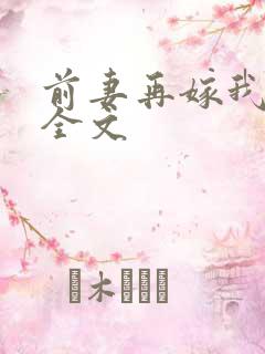 前妻再嫁我一次全文