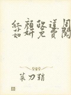 红颜政道周平丁茹妍免费阅读全文