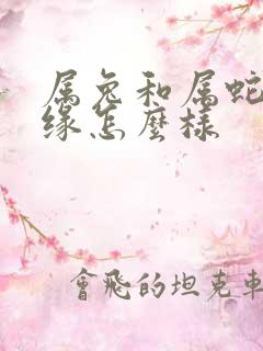 属兔和属蛇的姻缘怎么样