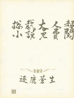 总裁大人超给力小说免费阅读