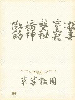 傲娇双宝:总裁的神秘宠妻小说