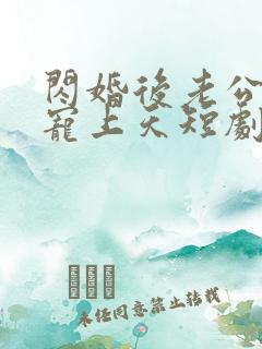 闪婚后老公把我宠上天短剧免费观看