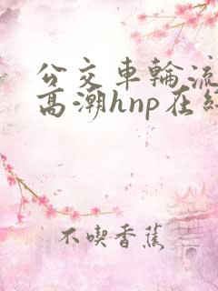 公交车轮流澡到高潮hnp在线观看