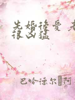 先婚后爱 老公很凶猛
