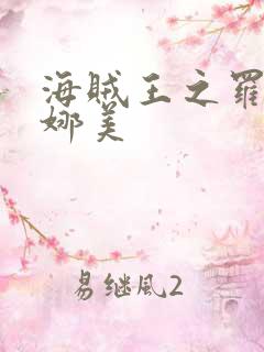 海贼王之罗宾h娜美