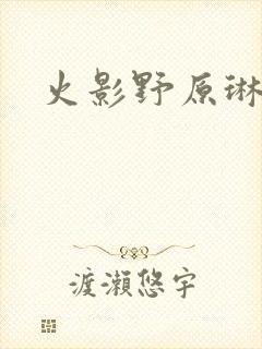 火影野原琳同人