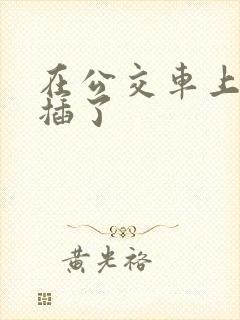 在公交车上被人插了
