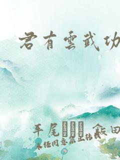 君有云武功排名