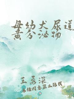 母幼犬尿道口有黄分泌物