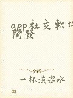 app社交软件开发